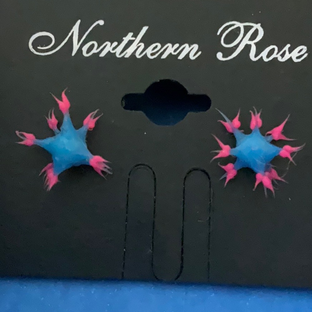 Northern Rose edgy fashion pierced flower burst earrings In pre owned condition.
